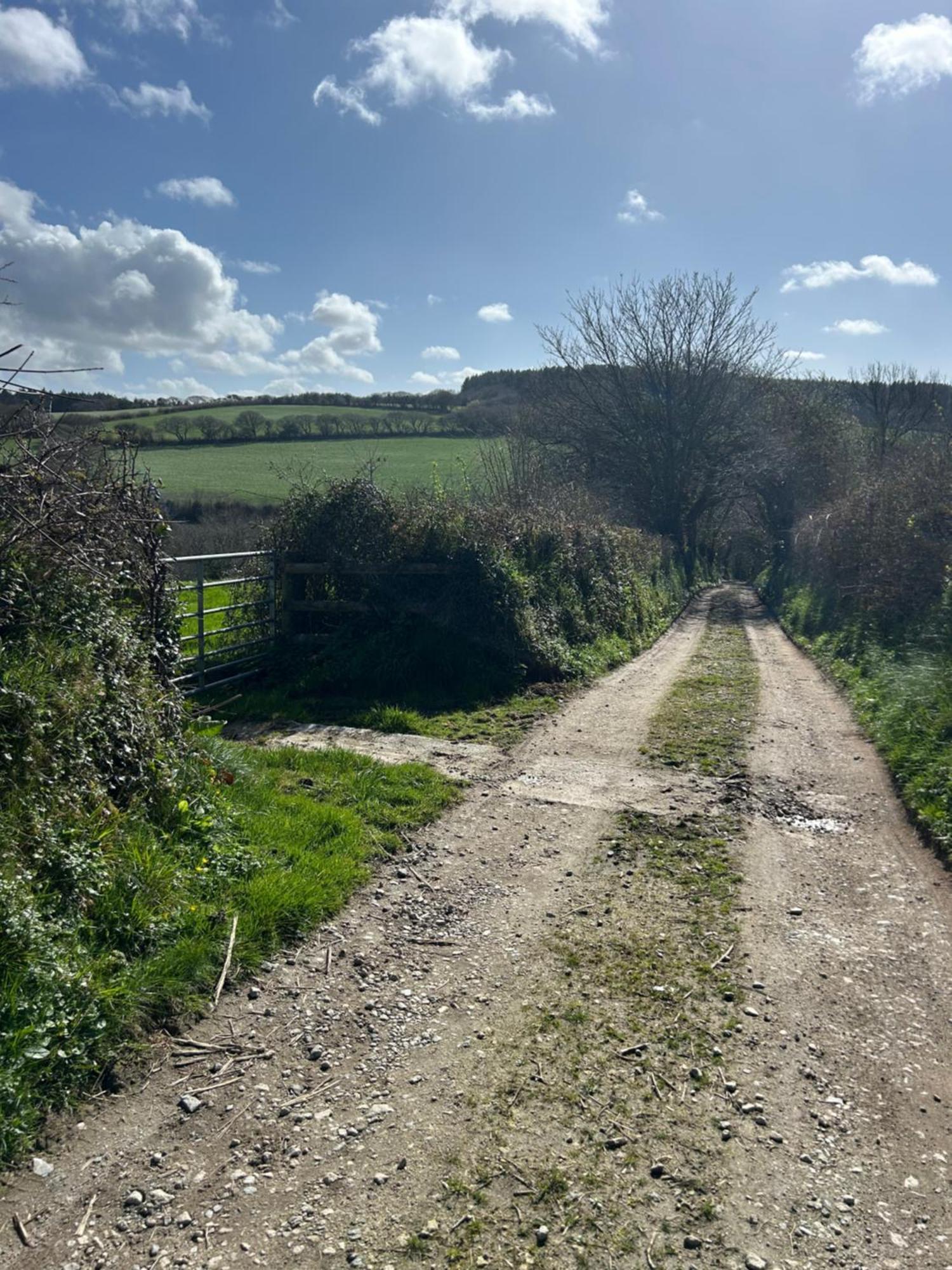 Meadowside Cottage, Characterful Grade 2 Listed Cottage Near To Wadebridge And Padstow Exteriér fotografie